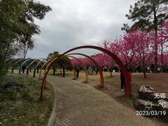 -无锡蠡湖国家湿地公园-蠡园