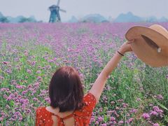 -会仙湿地