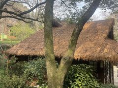 -中国茶叶博物馆(双峰馆区)