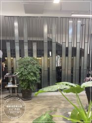 -蚂蚁造型俱乐部