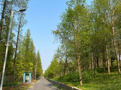 -上海长兴岛郊野公园