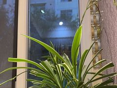 -伊帆食府·青海地方特色美食