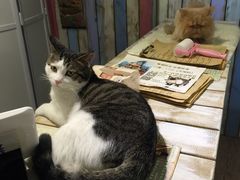-小时光咖啡馆(开森度假森林店)