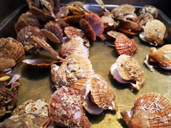 -小科自助海鲜烧肉(高区店)