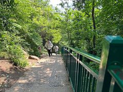 -大蜀山国家森林公园