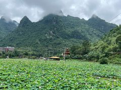 -长寿村