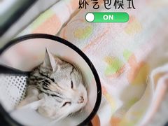 -美联众合动物医院·24h京西诊疗中心