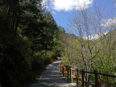 -荣德灶台鱼(圣泉寺店)