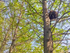 -羊亭河湿地公园
