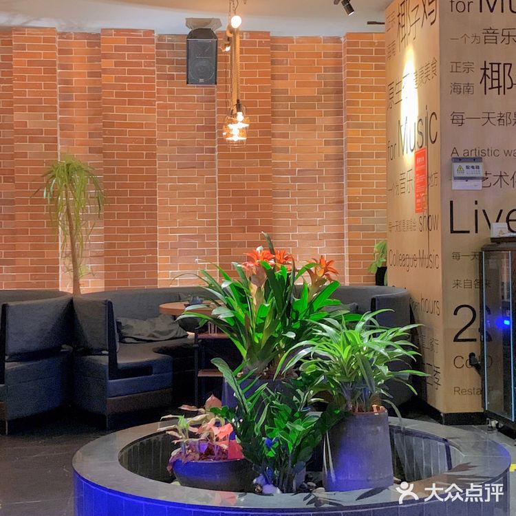 同仁四季，正宗椰子鸡