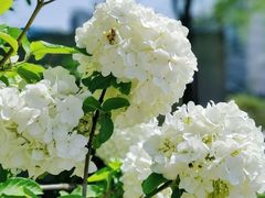 -大龙山(地铁站)