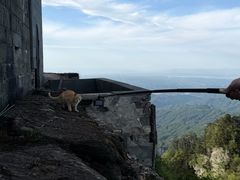 -武当山风景区