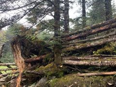 -硗碛藏寨·神木垒景区