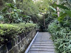 -腾冲洞山温泉村