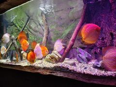 -上海海洋水族馆