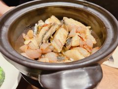 -元古雲境(南京万象天地店)