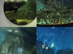 -大明湖海底世界