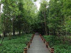 -桤木河湿地公园