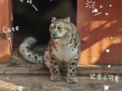 -青藏高原野生动物园