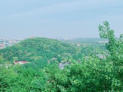 -上海佘山国家森林公园西佘山园