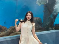 -合肥海洋世界