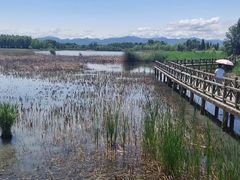 -野鸭湖国家湿地公园