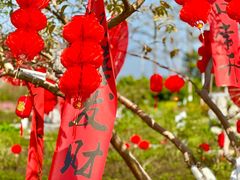 -广西壮族自治区药用植物园