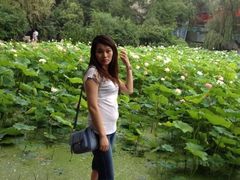 iphone_upload_pic-莲湖公园