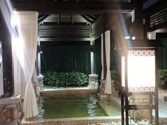 -河源万绿湖美思威尔顿酒店