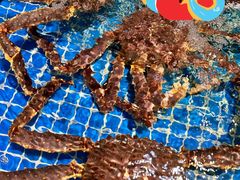 -三亚火车头万人海鲜广场