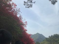 -木兰云雾山