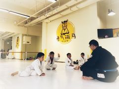 -勇气斑马·巴西柔术&跆拳道(浦东三林店)