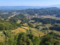 -紫鹊界梯田景区