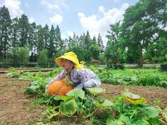 -前小桔亲子创意农场·草莓采摘·露营烧烤