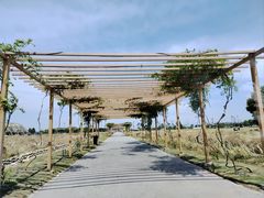 -中国天府农业博览园