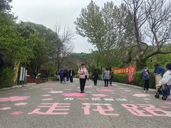 -燕塞湖鸟语林景区