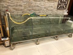 -呼吸森林·生态农庄农家乐私房菜