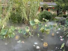 -湘力力小院·鱼汤泡饭(枫林路店)