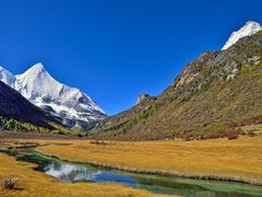 -稻城亚丁景区-冲古草甸