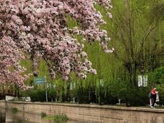 -元大都城垣遗址公园