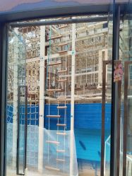 -PIPIKINGDOM皮皮王国欢乐号(欢乐海岸购物中心店)