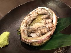 鲍鱼-札幌二条市场 大矶(本店)