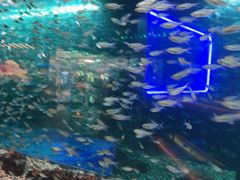 -味界·精致赣菜(招商花园城店)