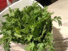 -同仁四季椰子鸡(福田东园总店)