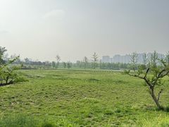 -汉长安城未央宫国家考古遗址公园