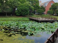 -美兰湖景区