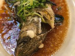 清蒸杉斑-凤城酒家(红磡店)