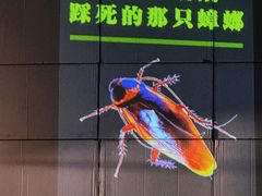 -北京喜剧院