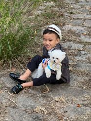 -西瓜庄园儿童摄影