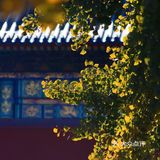 霜降天坛赏秋实录&超好拍的暖橙色系咖啡店推荐~